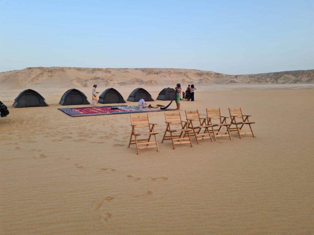 ٢٠٢٤٠٣٠١_١٧٥٨٥٨ ٢٠٢٤٠٣٠١ ١٧٥٨٥٨ 1 1024x768