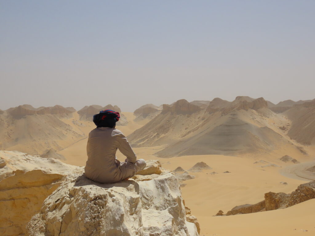 ٢٠٢٤٠٣٠٦٠٥١٧٣٤_IMG_2153 (١) ٢٠٢٤٠٣٠٦٠٥١٧٣٤ IMG 2153 ١ 1 1024x768