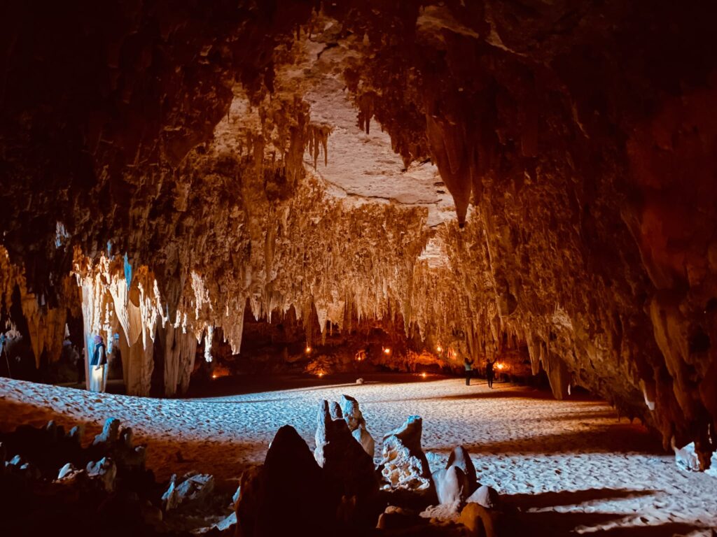 8558b35a caf5 4df5 8323 b71f6f2951d3